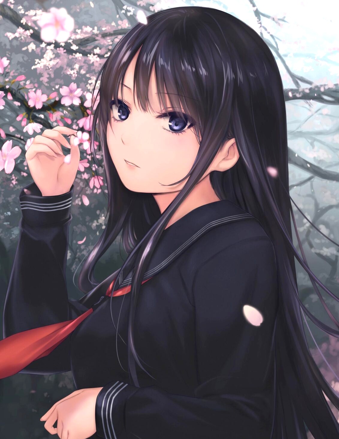 珈琲貴族の絵画作品　タイトルは、景桜