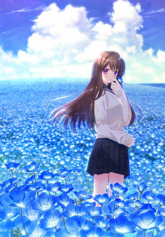 西又葵の絵画作品　タイトルは、NEMOPHILA